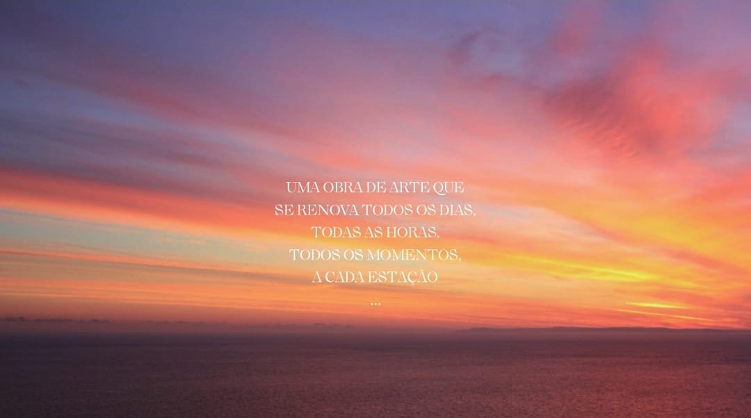 WhatsApp Image 2022-09-19 at 18.41.29